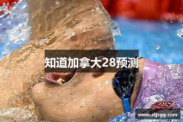 知道加拿大28预测